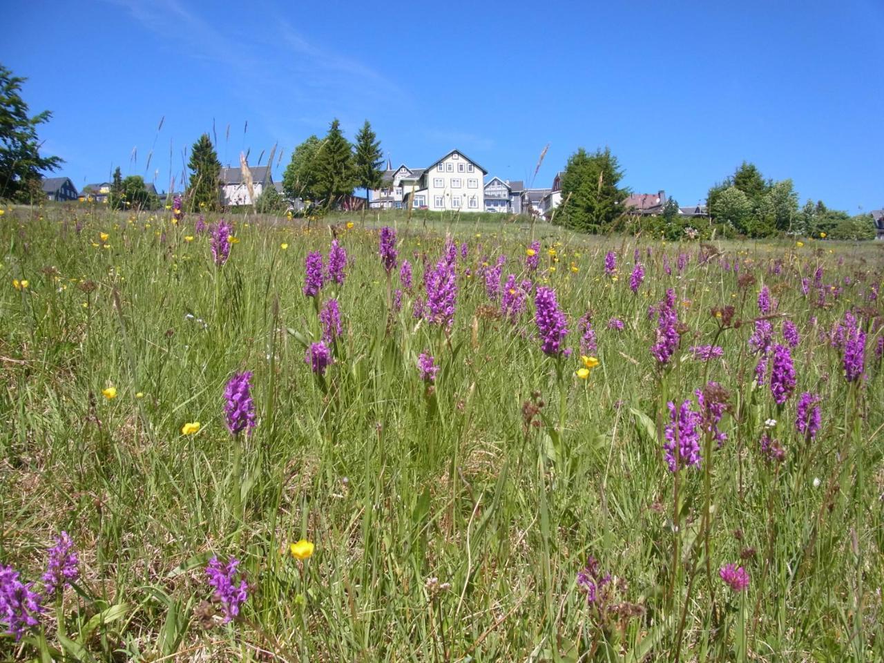Hotel Schoene Aussicht Masserberg Exterior photo